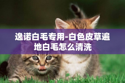 逸諾白毛專用-白色皮草遍地白毛怎么清洗