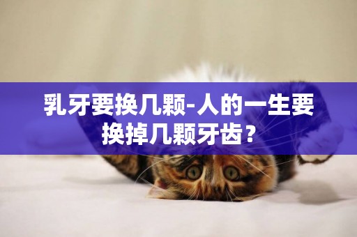 乳牙要換幾顆-人的一生要換掉幾顆牙齒？