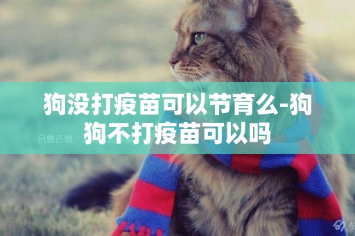 狗沒打疫苗可以節育么-狗狗不打疫苗可以嗎