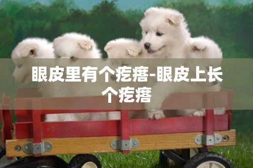 眼皮里有個疙瘩-眼皮上長個疙瘩