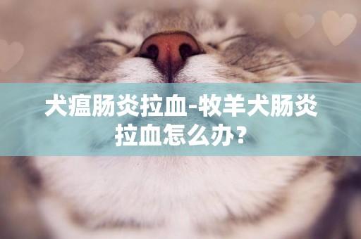 犬瘟腸炎拉血-牧羊犬腸炎拉血怎么辦？
