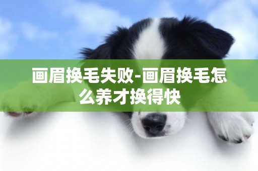 畫眉換毛失敗-畫眉換毛怎么養才換得快