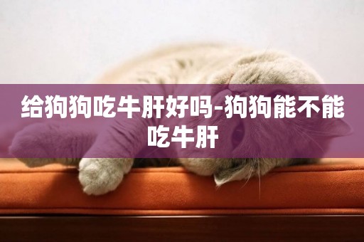 給狗狗吃牛肝好嗎-狗狗能不能吃牛肝