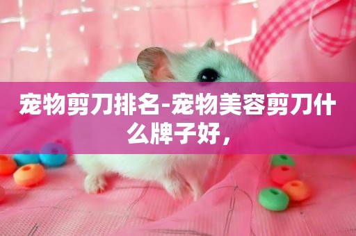 寵物剪刀排名-寵物美容剪刀什么牌子好，