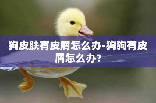 狗皮膚有皮屑怎么辦-狗狗有皮屑怎么辦？