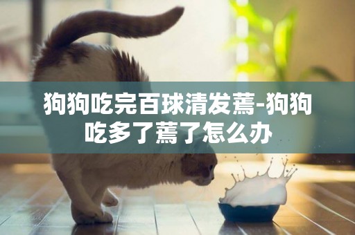 狗狗吃完百球清發蔫-狗狗吃多了蔫了怎么辦