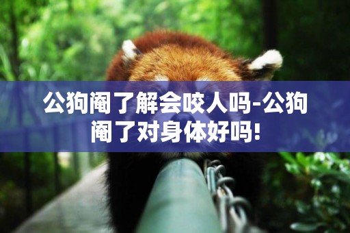 公狗閹了解會咬人嗎-公狗閹了對身體好嗎!