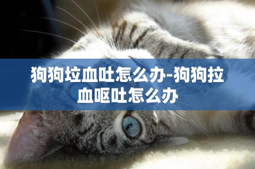 狗狗垃血吐怎么辦-狗狗拉血嘔吐怎么辦