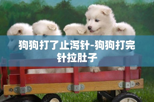 狗狗打了止瀉針-狗狗打完針拉肚子