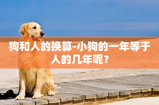 狗和人的換算-小狗的一年等于人的幾年呢？