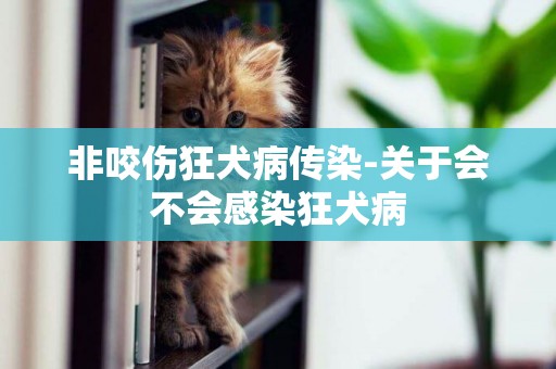 非咬傷狂犬病傳染-關于會不會感染狂犬病