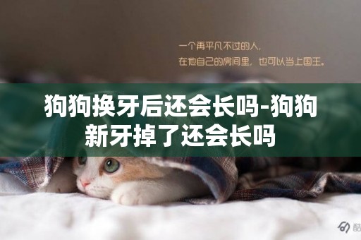 狗狗換牙后還會長嗎-狗狗新牙掉了還會長嗎