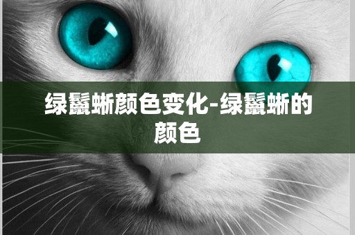 綠鬣蜥顏色變化-綠鬣蜥的顏色