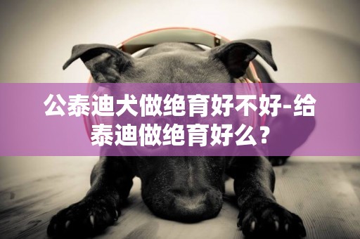 公泰迪犬做絕育好不好-給泰迪做絕育好么？