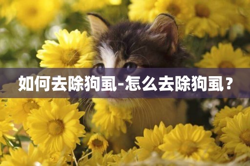 如何去除狗虱-怎么去除狗虱？