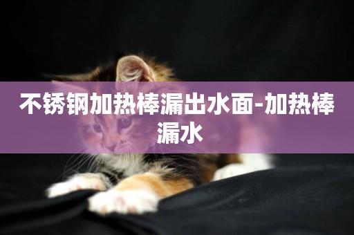 不銹鋼加熱棒漏出水面-加熱棒 漏水