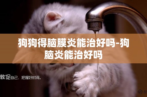 狗狗得腦膜炎能治好嗎-狗腦炎能治好嗎