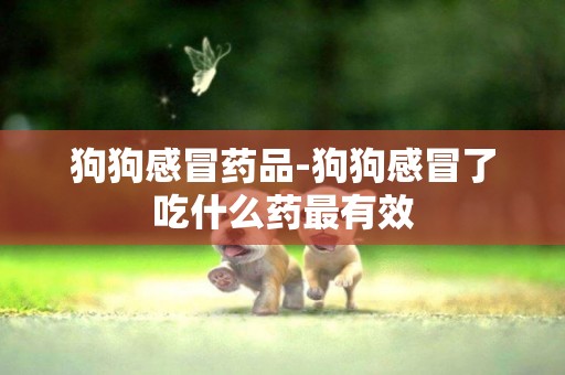 狗狗感冒藥品-狗狗感冒了吃什么藥最有效