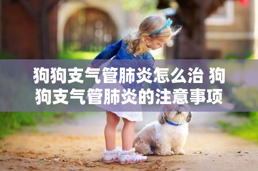 狗狗支氣管肺炎怎么治 狗狗支氣管肺炎的注意事項