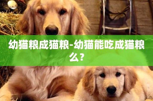 幼貓糧成貓糧-幼貓能吃成貓糧么？