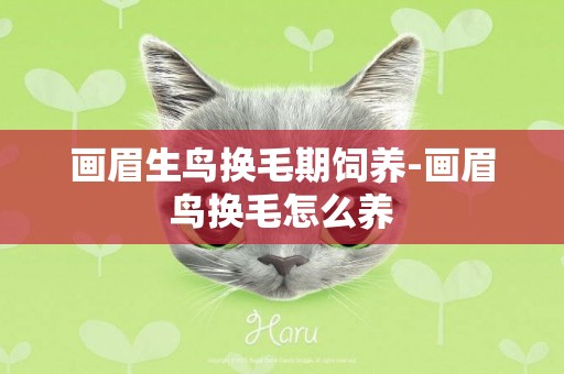 畫眉生鳥換毛期飼養-畫眉鳥換毛怎么養