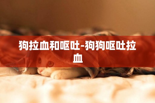 狗拉血和嘔吐-狗狗嘔吐拉血