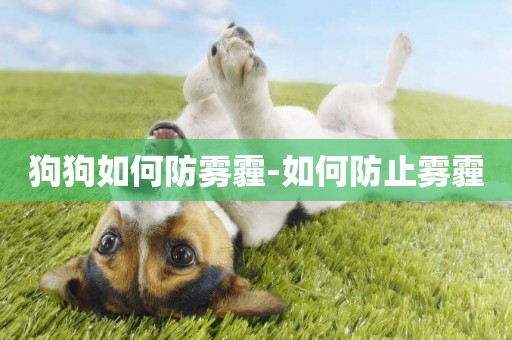 狗狗如何防霧霾-如何防止霧霾