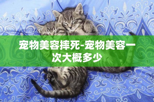 寵物美容摔死-寵物美容一次大概多少