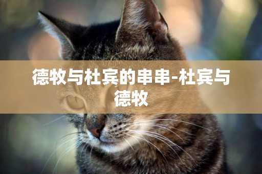 德牧與杜賓的串串-杜賓與德牧