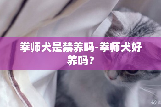 拳師犬是禁養嗎-拳師犬好養嗎？