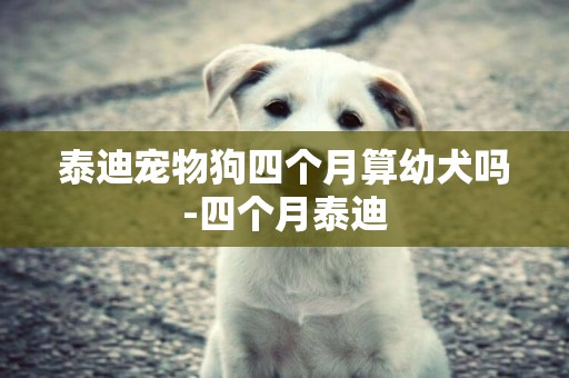 泰迪寵物狗四個月算幼犬嗎-四個月泰迪