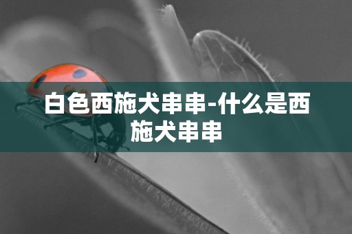 白色西施犬串串-什么是西施犬串串