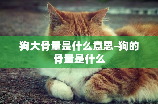 狗大骨量是什么意思-狗的骨量是什么