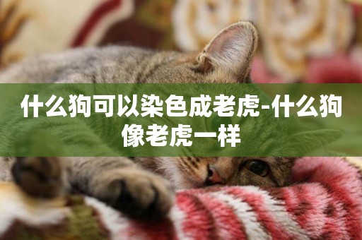 什么狗可以染色成老虎-什么狗像老虎一樣