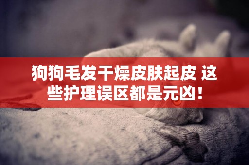 狗狗毛發干燥皮膚起皮 這些護理誤區都是元兇！