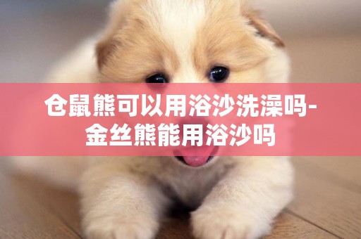 倉鼠熊可以用浴沙洗澡嗎-金絲熊能用浴沙嗎