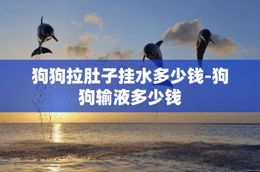 狗狗拉肚子掛水多少錢-狗狗輸液多少錢