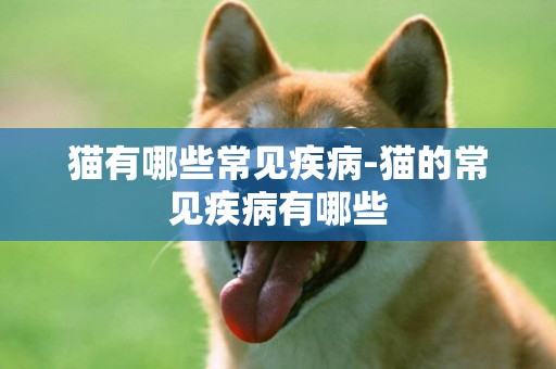 貓有哪些常見疾病-貓的常見疾病有哪些
