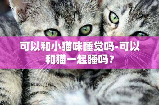 可以和小貓咪睡覺嗎-可以和貓一起睡嗎？