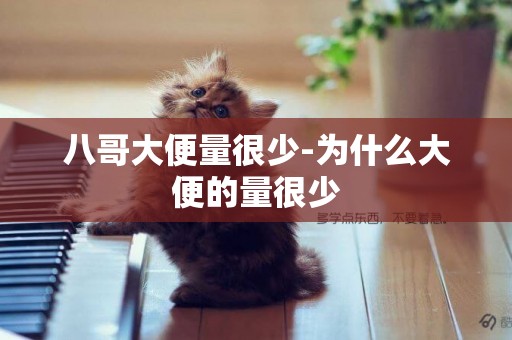 八哥大便量很少-為什么大便的量很少