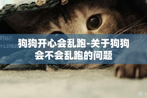 狗狗開心會亂跑-關于狗狗會不會亂跑的問題