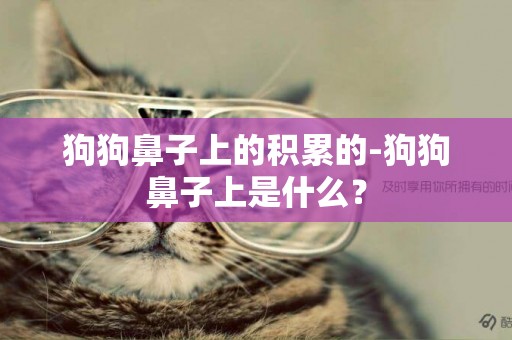 狗狗鼻子上的積累的-狗狗鼻子上是什么？