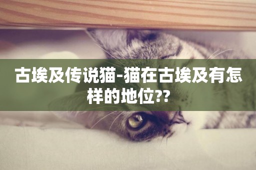 古埃及傳說貓-貓在古埃及有怎樣的地位??