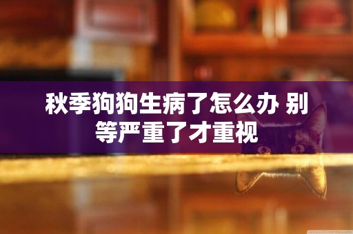 秋季狗狗生病了怎么辦 別等嚴重了才重視