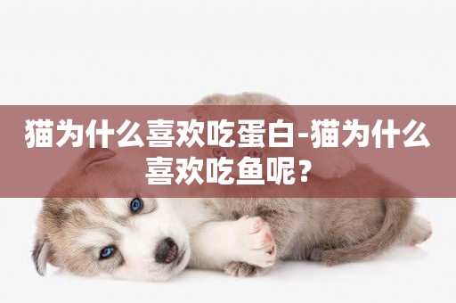 貓為什么喜歡吃蛋白-貓為什么喜歡吃魚呢？