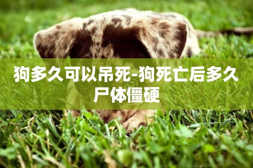 狗多久可以吊死-狗死亡后多久尸體僵硬