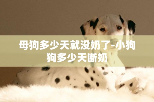 母狗多少天就沒奶了-小狗狗多少天斷奶