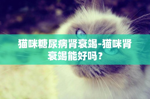 貓咪糖尿病腎衰竭-貓咪腎衰竭能好嗎？
