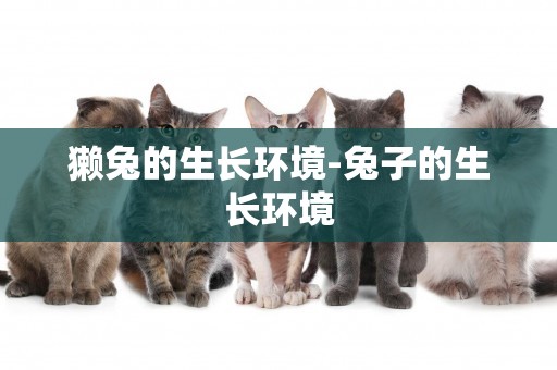 獺兔的生長環境-兔子的生長環境