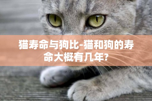 貓壽命與狗比-貓和狗的壽命大概有幾年?